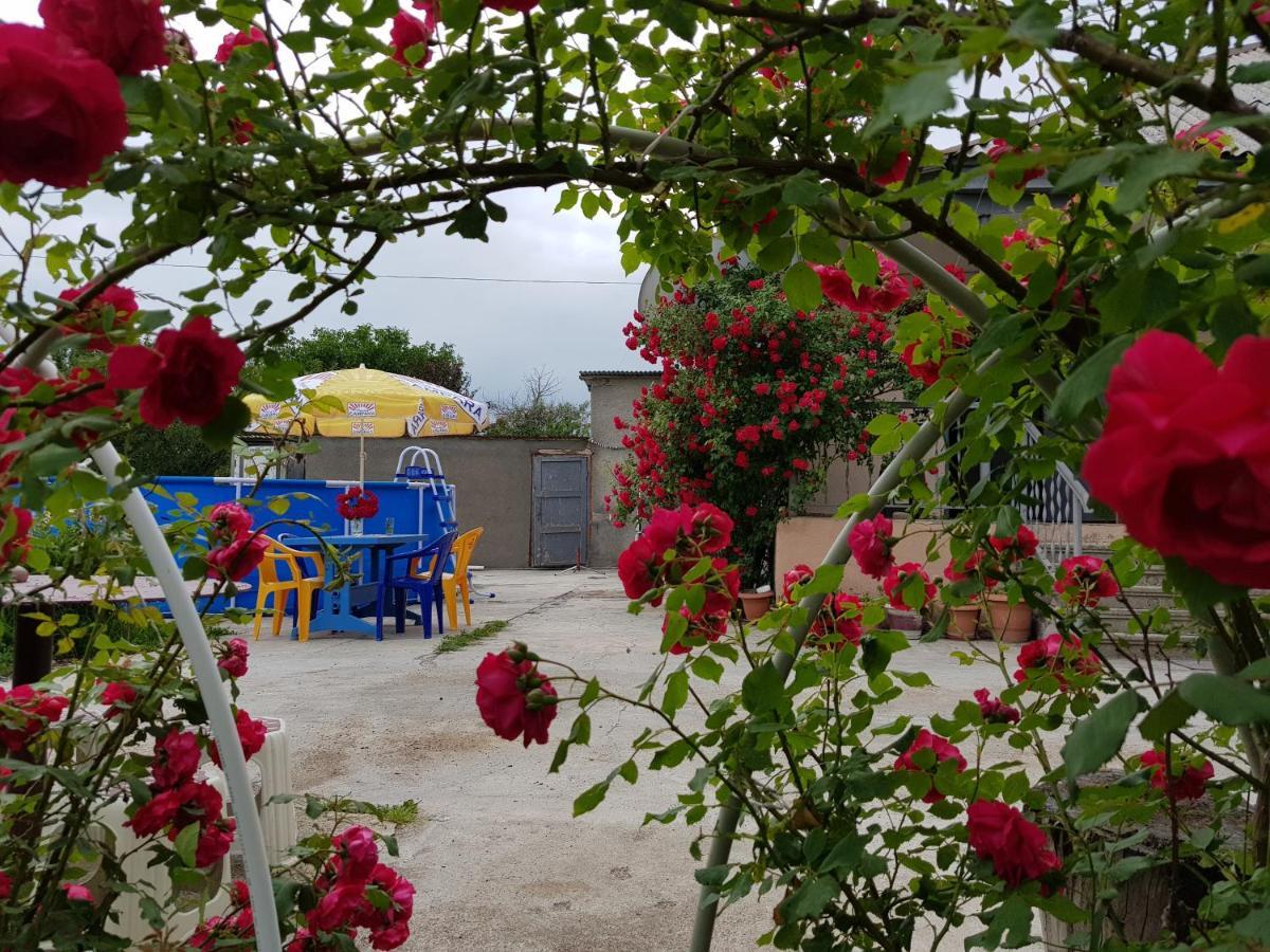 Family Hotel Maia - Cемейная гостиница Майя Dashbashi Экстерьер фото